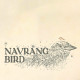 Navrang bird *Print*