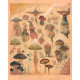 The Fungi Dialogue *Print*