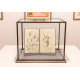 Organic Harmony *Solo show*