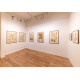 Organic Harmony *Solo show*