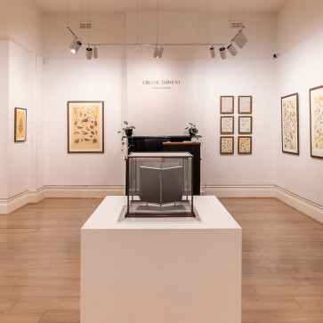 Organic Harmony *Solo show*