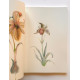 The Botanical Box *Book & Prints*