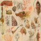 Ancient Tales *Original*
