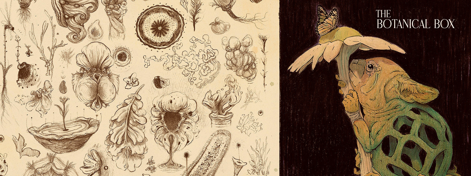 The Botanical Box 